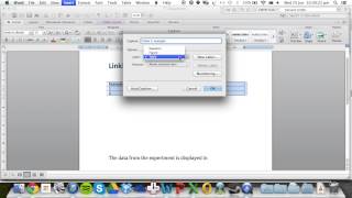 Linking text to tables in Microsoft Word [upl. by Hutchins]