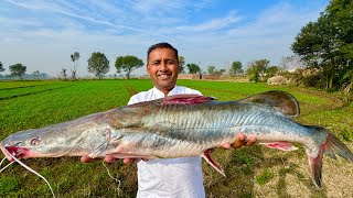 7 KG Big Singhara Fish  Fish Cutting and Cooking in Village  Mubashir Saddique  Village Food [upl. by Morgun350]