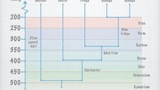 Växternas systematik [upl. by Moir613]