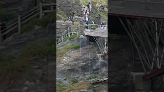 tintagel castle bridge Cornwall fyp everyone fypviral dads0111 subscribe cutecat [upl. by Lletnohs929]