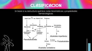 ¿Qué son los alcaloides [upl. by Khalid]