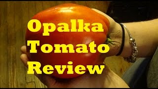 Opalka Tomato Review [upl. by Komarek39]