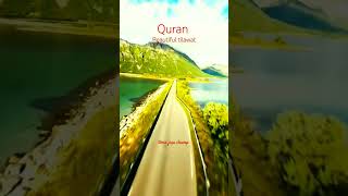 Misri qari bast tilawat best Quran reaction in the world 2024 tilawat [upl. by Tilden904]