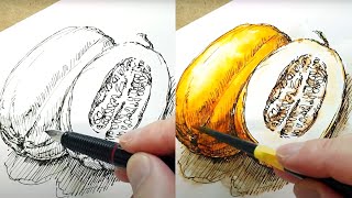 과일 그리기 참외 만년필 펜화 드로잉 수채화  Fruits pen drawing watercolor painting [upl. by Arymat]