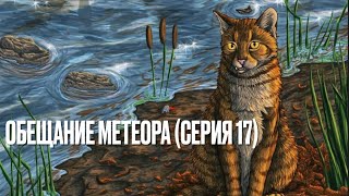 Аудиокнига КОТЫВОИТЕЛИ« Обещание Метеора»«Прозрение» Серия 17 [upl. by Annabal]