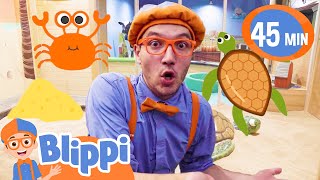 Blippis Fun in the Sand  Educational Videos for Kids  Fun Summer Activities [upl. by Seidule]