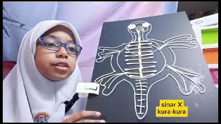 science project haiwan vertebrata amp Invertebrata tahun 4 [upl. by Yeclek]