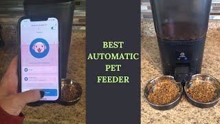 Watch This Pet Feeder in Use [upl. by Etnod324]