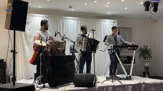 Ramin Fazli Live Performance I Remix of amazing songs [upl. by Deb]