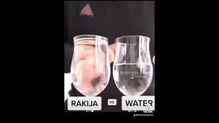 Rakija vs water rakija water balkan funny drink fyp [upl. by Norha]