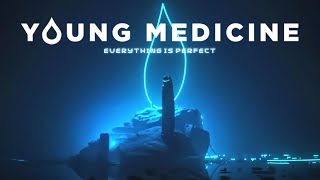 Young Medicine  Everything Is Perfect Official Lyric Video [upl. by Paquito310]