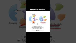 Competitive inhibition biology science neet education enzymes apbiology [upl. by Eniamat]