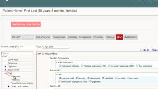 Smart EMR Assessment and Plan [upl. by Eahsal]