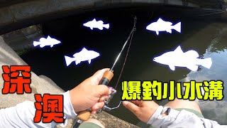 深澳爆釣小水溝，難得海水魚可以一直拉爽爽 [upl. by Baily]