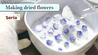 【作り方セリア】シリカゲルを使って初めてのドライフラワー作り  Making dried flowers using silica gel [upl. by Kowalski302]