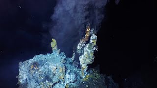 What are hydrothermal vents [upl. by Nicodemus]