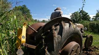 9N Ford tractor plowing up potatoes [upl. by Atiuqet]