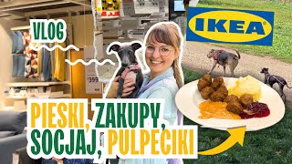 Czy pulpeciki z Ikea smakują inaczej we Włoszech Vlog Dzień z nami w Rzymie  Socjalizacja w parku [upl. by Eiro]