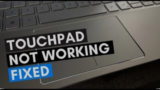 Dell Touchpad Not Working in Windows 1087 2024 Tutorial [upl. by Rafa]