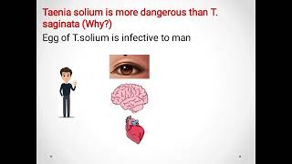 Taenia saginata Beef tapeworm amp Taenia solium pork tapeworm ديدان اللحم الشريطية [upl. by Goodrow676]