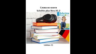 Слова из книги Schritte plus Neu A12 Lektion 11  Wortschatz немецкий язык [upl. by Leirum986]