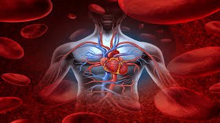 Types of Blood Circulation  Mrs Biology [upl. by Muller76]