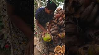 Sri Lankan Traditional Life travelsl thingstodoinsrilanka visitsrilanka [upl. by Sella]