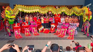 8 Lion Dance with Dragon Dance Acrobatic Lion Dance amp 2 Choy San Yeh [upl. by Imeaj620]