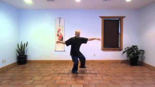 Tai Chi Chuan 24 Pattern Form Complete [upl. by Htebesile751]