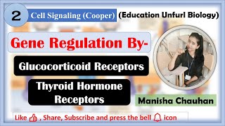 Steroid Hormone Receptor Thyroid Hormone Receptors  cellsignaling  cooper steroidreceptors [upl. by Teerpnam113]