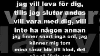 AMC  Jag kan inte ljuga för dig lyrics [upl. by Ihcego]