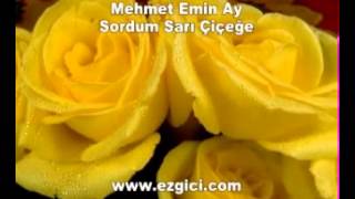 Mehmet Emin Ay Sordum Sarı Çiçeğe [upl. by Ecenahs623]