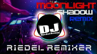 Moonlight shadow Remix RiedelRemixer [upl. by Akcira184]