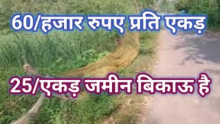 25 एकड़ भूमि बिकाऊ है काबरा करनें वाली अभी उपलब्ध है जल्द करें agriculture land for sale in Haryana [upl. by Tarazi]