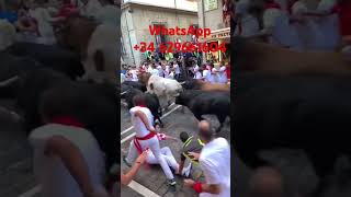 Pamplona sanfermin pamplonada yfm runningofthebulls spain travel traveltospain encierro [upl. by Halfon626]