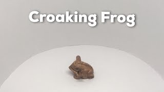 Frog Croaking Percussion Toy [upl. by Ettennan]