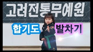 속초 고려전통무예원 합기도 기본 발차기의 종류 [upl. by Enihpets]