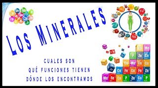 Los minerales y sus propiedades Macrominerales Microminerales y Oligoelementos🏋️ [upl. by Aizirk]