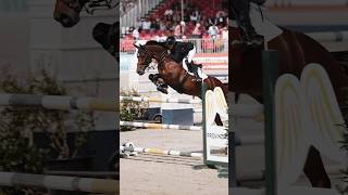 Was für ein Wochenende 🤩 turnierdersieger münster reitsport pferde reiten [upl. by Tay]