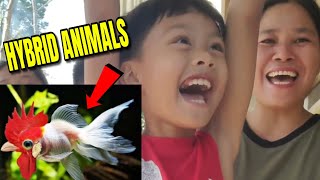 Ito ang nakakatawa hulaan mo lang  All about hybrid animals part 1  Edoy and Therrence Tv [upl. by Eednac]