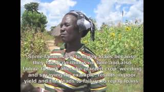 Contract Farming in Zimbabwe [upl. by Artcele318]