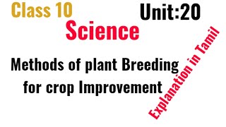 class10 unit20Methods of plant breeding for crop improvement Explanation in Tamil [upl. by Aehsila470]