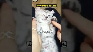 오히려 불면증 생긴다는 수면법 [upl. by Assenev]