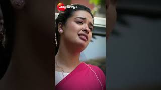 Kudumbashree Sharada Shorts Zee Keralam Entertainment Drama [upl. by Noremac690]