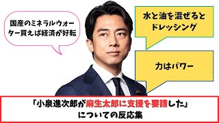 「小泉進次郎が麻生太郎に支援を要請した」についての反応集 [upl. by Eilyac]