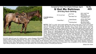 Pitzer Ranch Fall Sale 2024 Lot 405 U GOT ME DELIRIOUS [upl. by Carol-Jean]