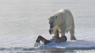 3 Terrifying Arctic Polar Bear Encounter What Happens Next Is Shocking [upl. by Lev]