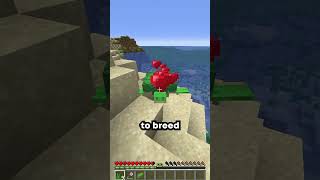 TURTLE HELMETS IN MINECRAFT minecraft gaming shorts youtubeshorts viralvideo foryou fyp [upl. by Kory42]