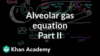 Alveolar gas equation  part 2  Respiratory system physiology  NCLEXRN  Khan Academy [upl. by Traci]