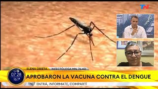 DENGUE ANMAT aprobó la vacuna para la prevención podría empezar a aplicarse a partir de septiembre [upl. by Giuliana]